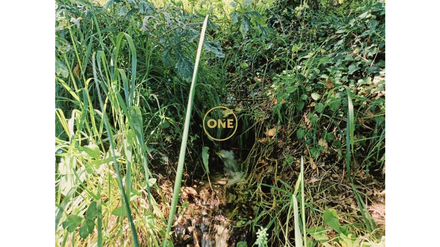 Moradia para Venda em Gondoriz Foto 7