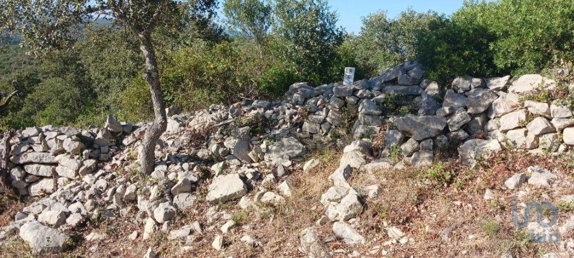 Terreno para Venda em Loule (São Sebastião) Foto 2