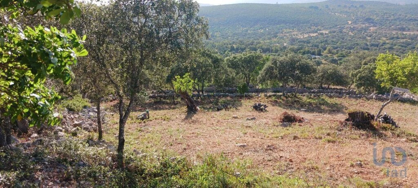 Terreno para Venda em Loule (São Sebastião) Foto 1