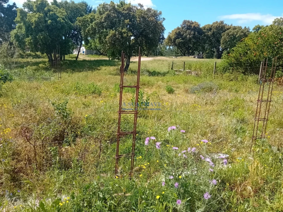 Terreno para Venda em Santo Antonio da Charneca Foto 20