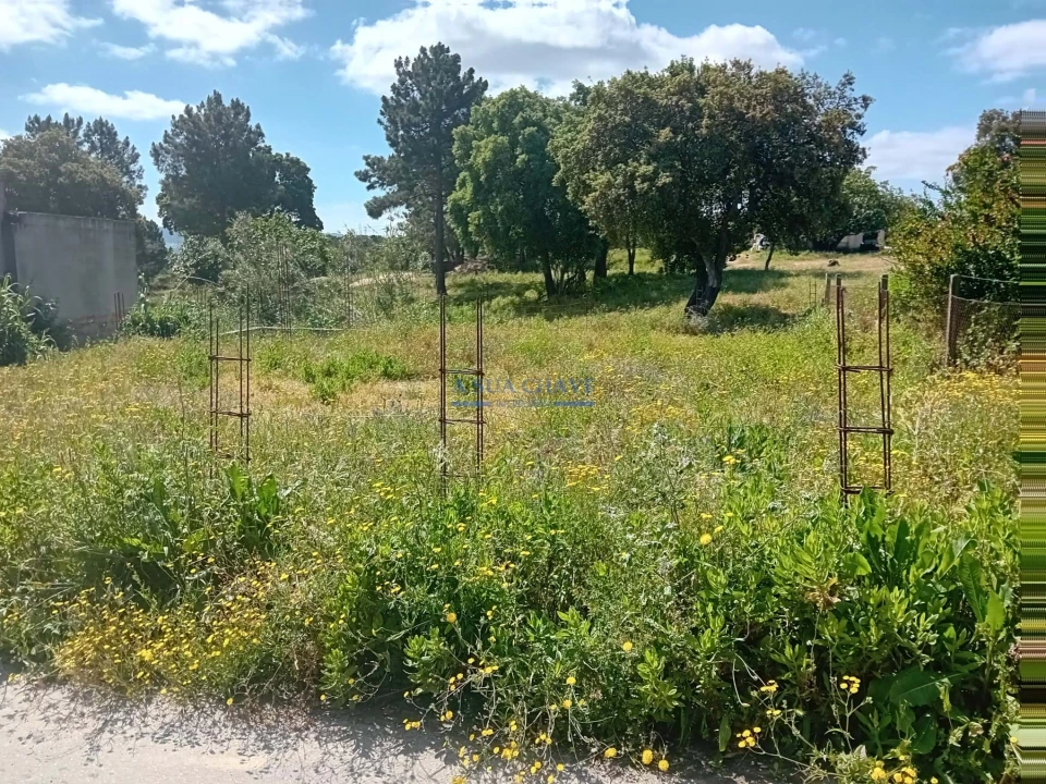 Terreno para Venda em Santo Antonio da Charneca Foto 17