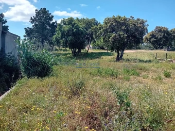 Terreno para Venda em Santo Antonio da Charneca