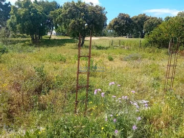 Terreno para Venda em Santo Antonio da Charneca