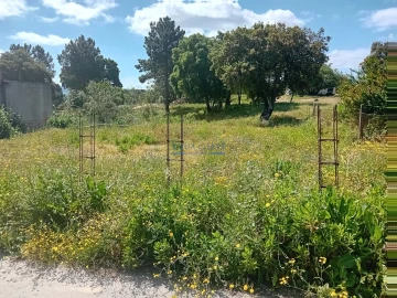Terreno para Venda em Santo Antonio da Charneca