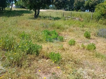 Terreno para Venda em Santo Antonio da Charneca