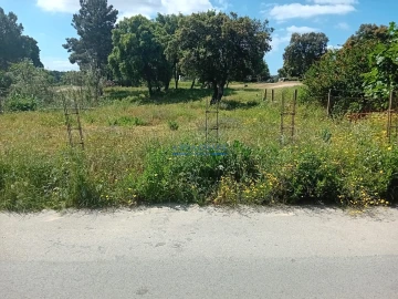 Terreno para Venda em Santo Antonio da Charneca