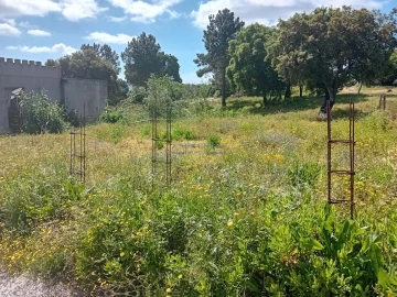 Terreno para Venda em Santo Antonio da Charneca