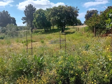 Terreno para Venda em Santo Antonio da Charneca