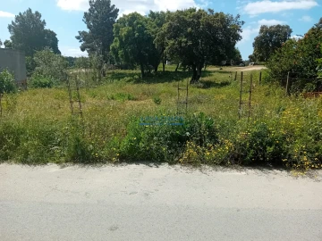 Terreno para Venda em Santo Antonio da Charneca
