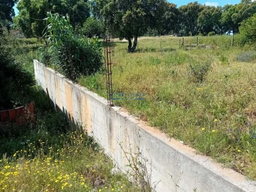 Terreno para Venda em Santo Antonio da Charneca