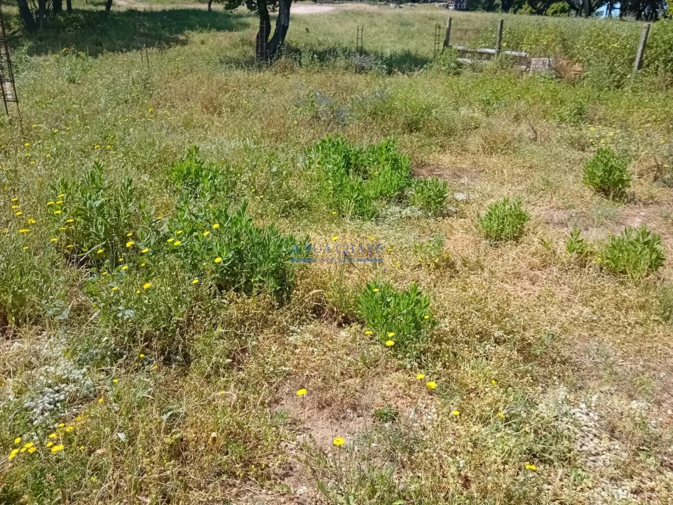 Terreno para Venda em Santo Antonio da Charneca Foto 28