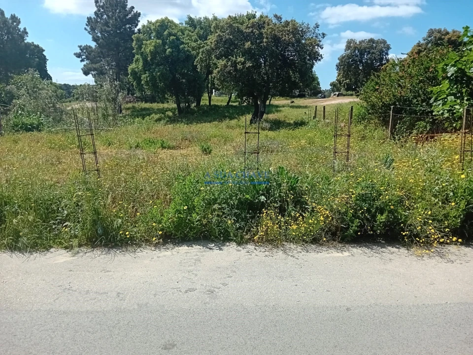 Terreno para Venda em Santo Antonio da Charneca Foto 15