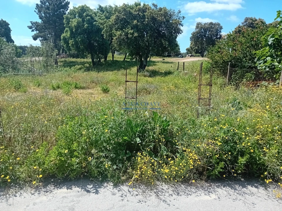 Terreno para Venda em Santo Antonio da Charneca Foto 10