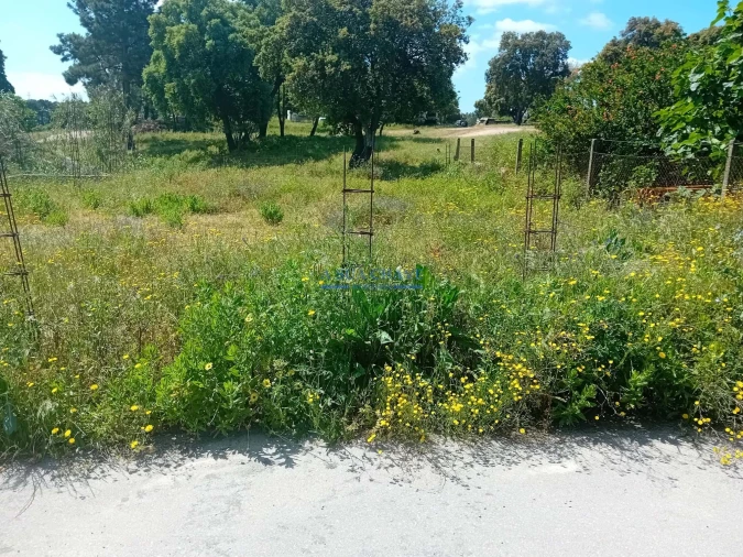 Terreno para Venda em Santo Antonio da Charneca Foto 14