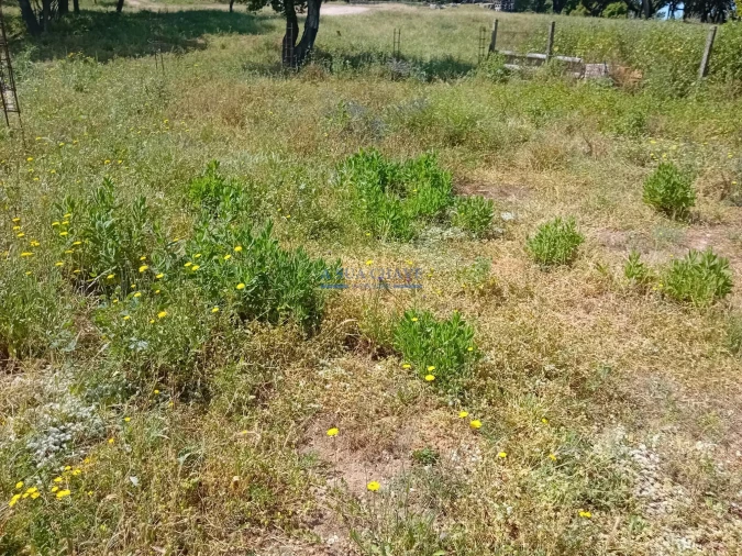 Terreno para Venda em Santo Antonio da Charneca Foto 28