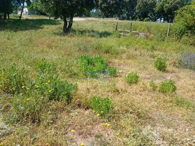 Terreno para Venda em Santo Antonio da Charneca Foto 24
