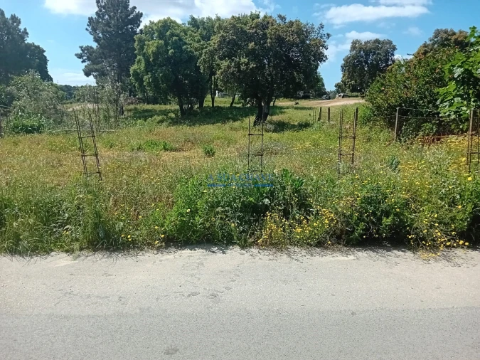Terreno para Venda em Santo Antonio da Charneca Foto 15