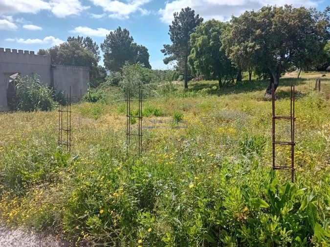 Terreno para Venda em Santo Antonio da Charneca Foto 23