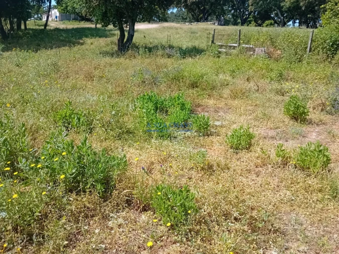 Terreno para Venda em Santo Antonio da Charneca Foto 21