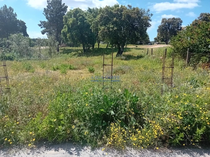 Terreno para Venda em Santo Antonio da Charneca Foto 26
