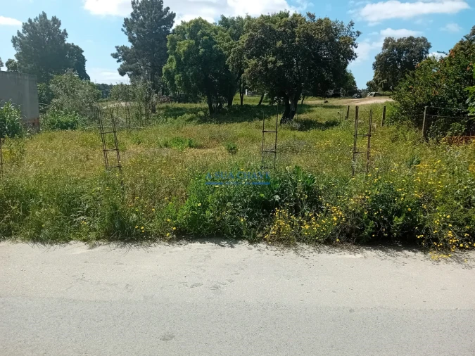 Terreno para Venda em Santo Antonio da Charneca Foto 16