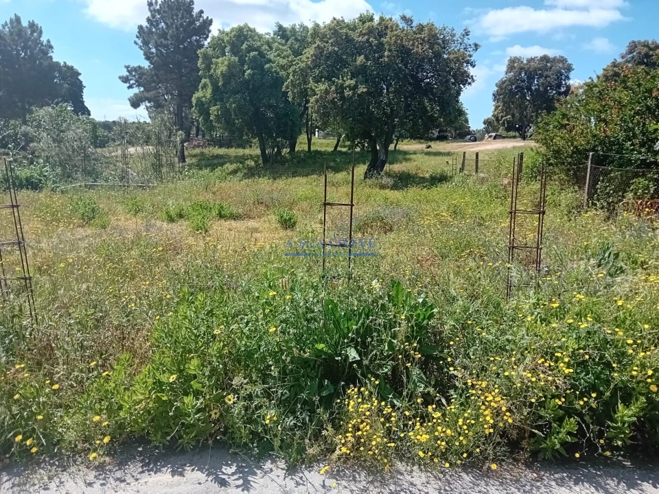 Terreno para Venda em Santo Antonio da Charneca Foto 26