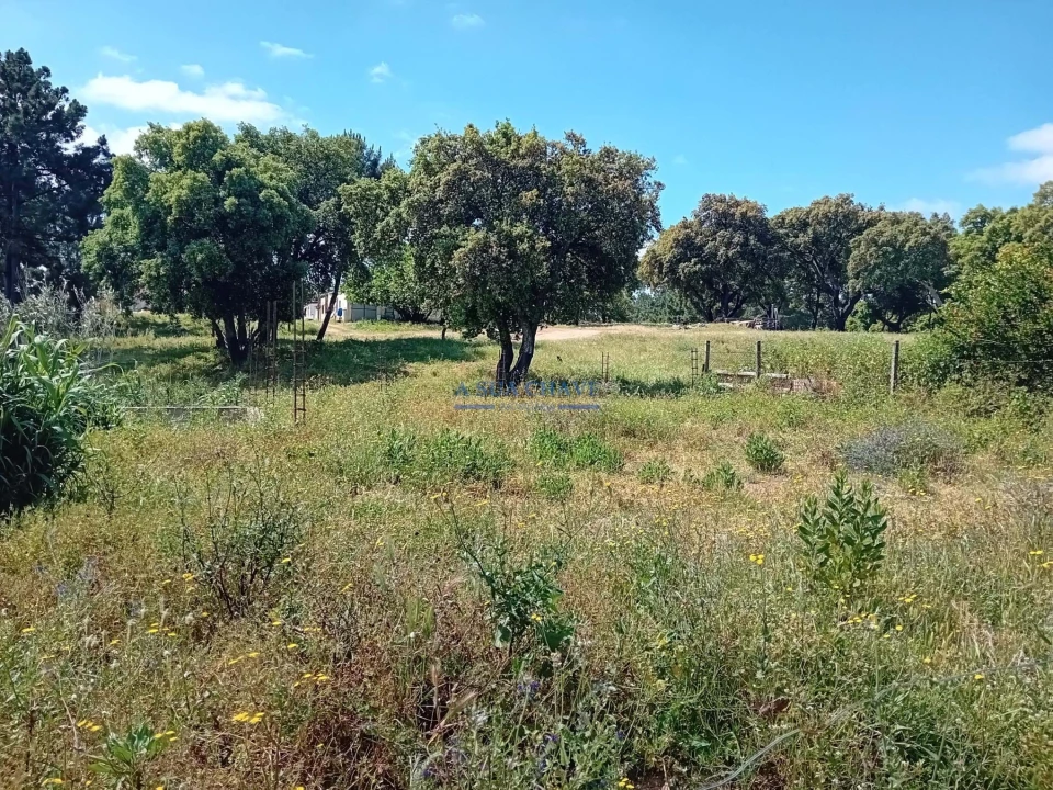 Terreno para Venda em Santo Antonio da Charneca Foto 6