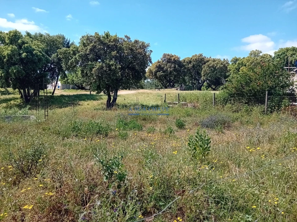 Terreno para Venda em Santo Antonio da Charneca Foto 5