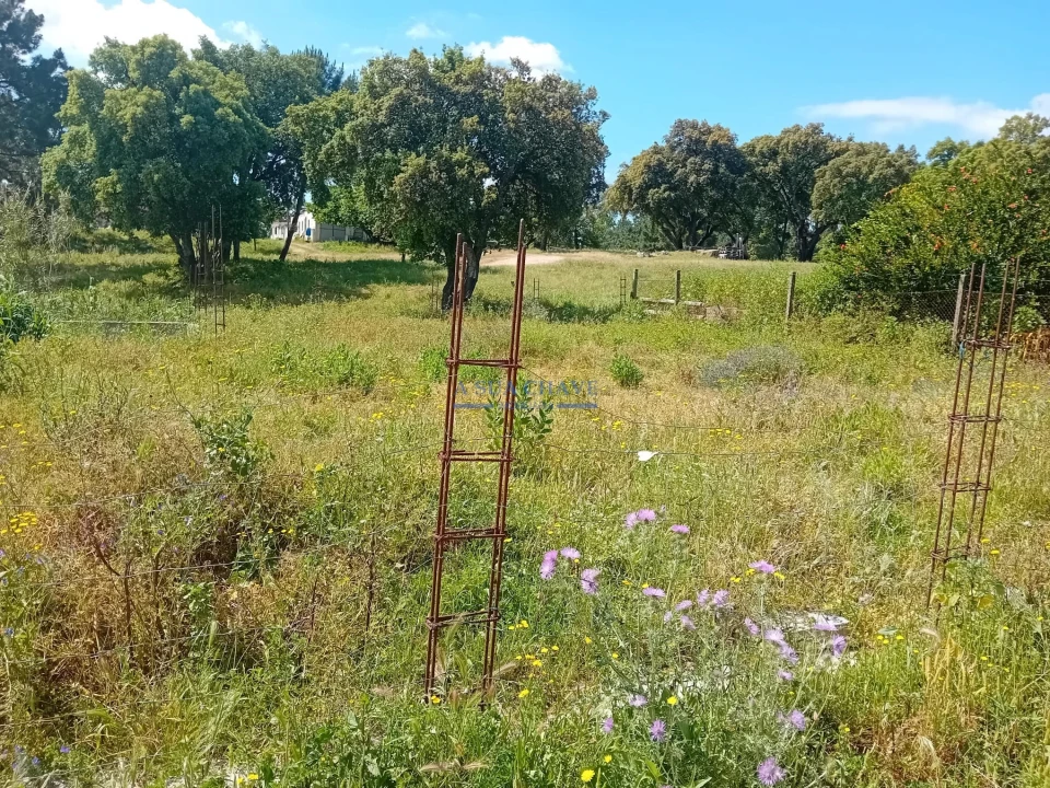 Terreno para Venda em Santo Antonio da Charneca Foto 4