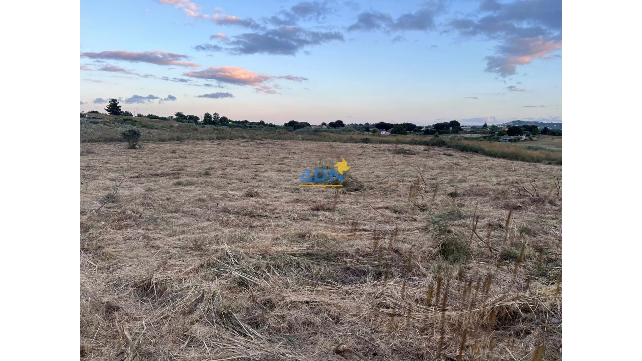 Terreno para Venda em Castelo Branco Foto 2