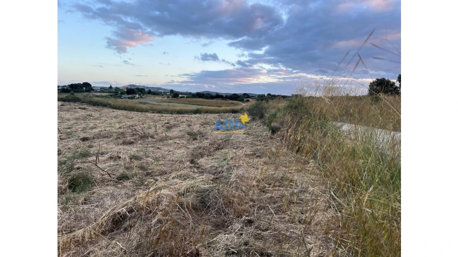 Terreno para Venda em Castelo Branco Foto 3
