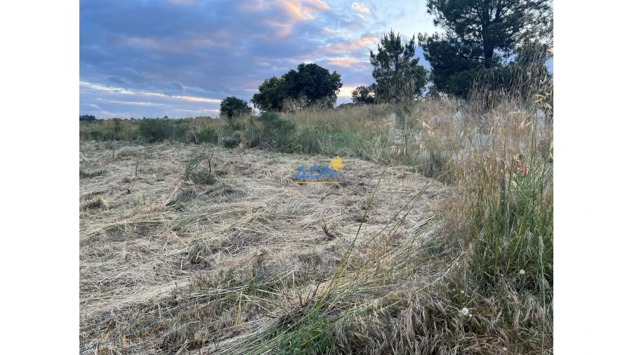 Terreno para Venda em Castelo Branco Foto 5