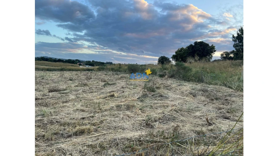 Terreno para Venda em Castelo Branco Foto 4