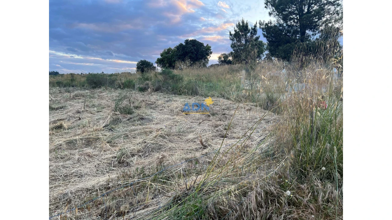 Terreno para Venda em Castelo Branco Foto 5