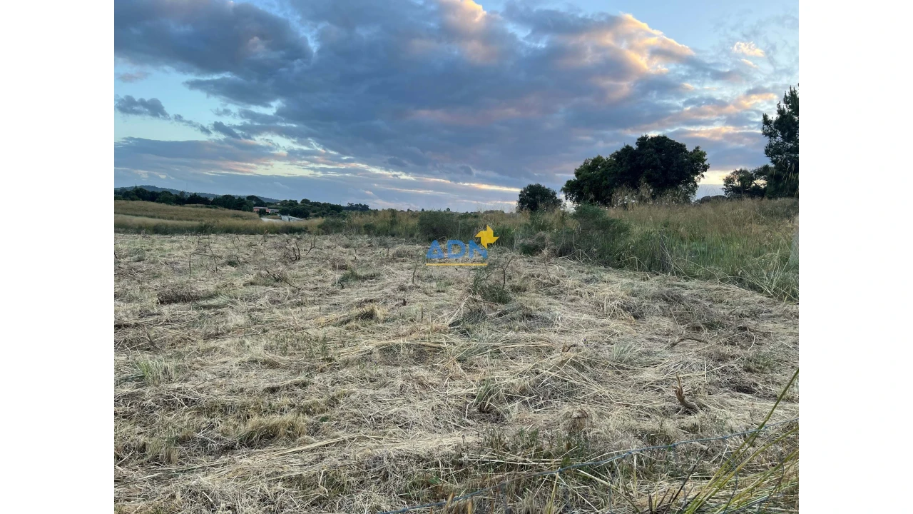 Terreno para Venda em Castelo Branco Foto 4