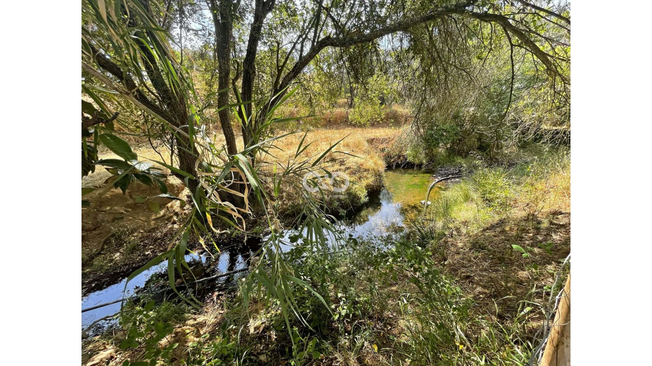Terreno para Venda em Saboia Foto 7