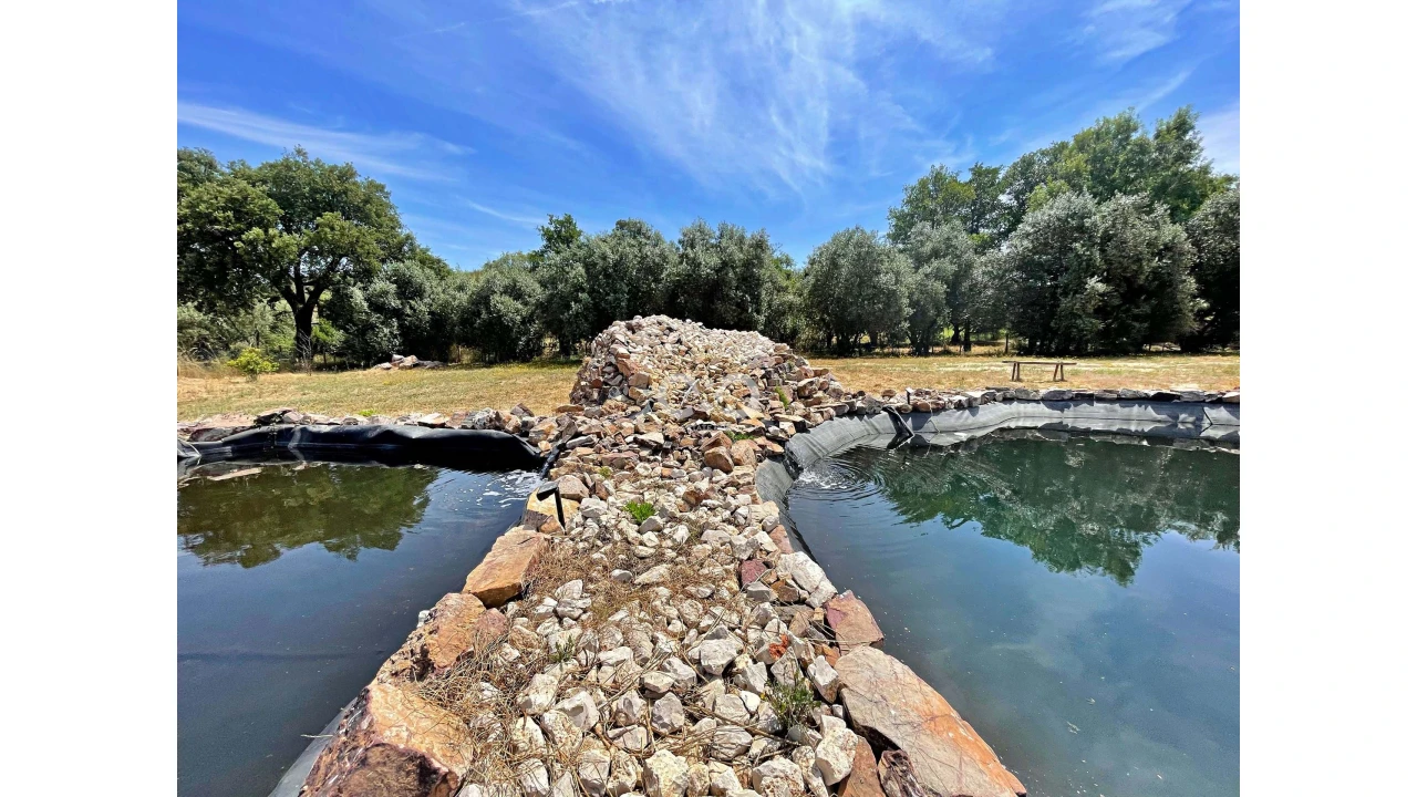 Terreno para Venda em Saboia Foto 27
