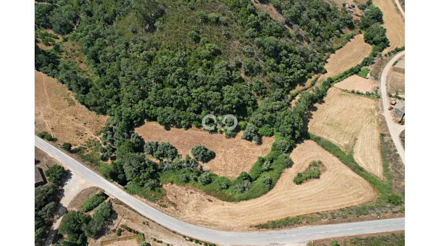 Terreno para Venda em Saboia Foto 9