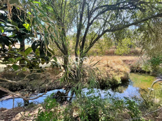 Terreno para Venda em Saboia Foto 24
