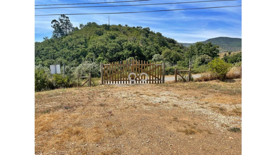 Terreno para Venda em Saboia Foto 13