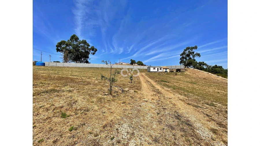 Terreno para Venda em Saboia Foto 14