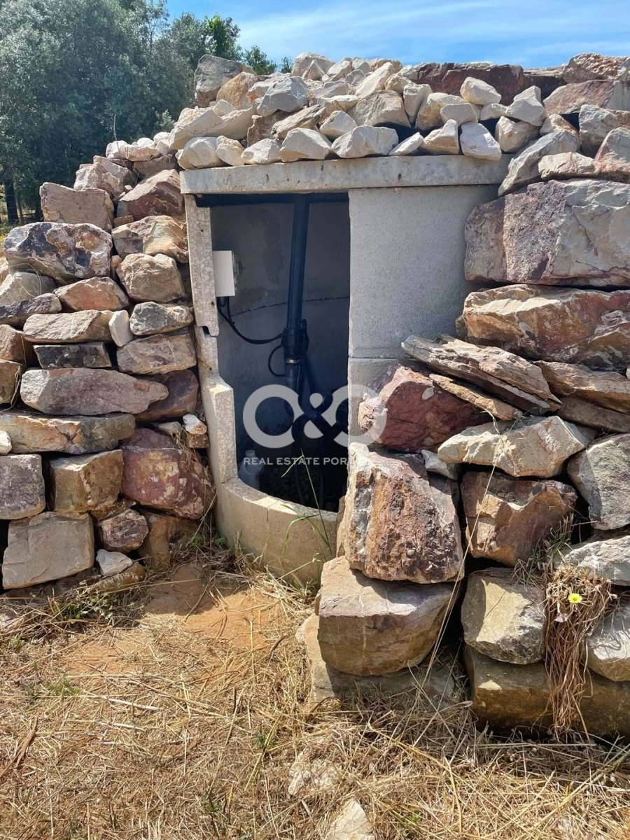 Terreno para Venda em Saboia Foto 26