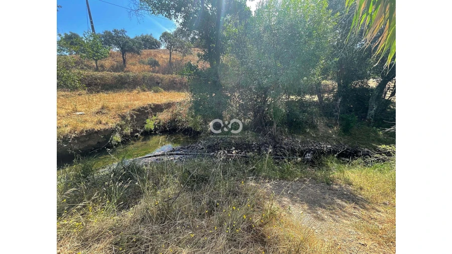 Terreno para Venda em Saboia Foto 23