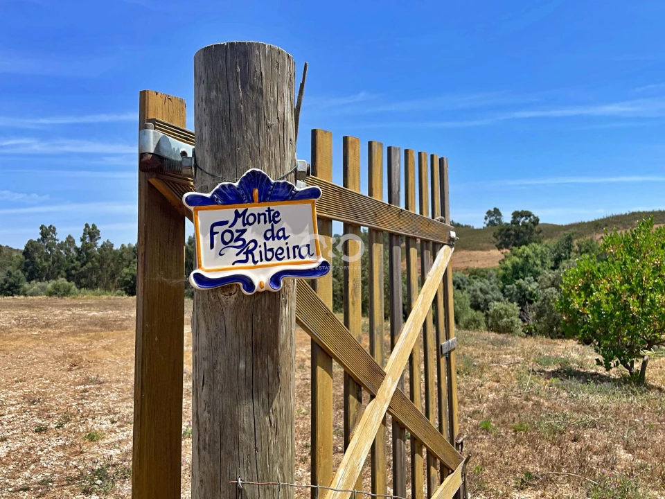 Terreno para Venda em Saboia Foto 8