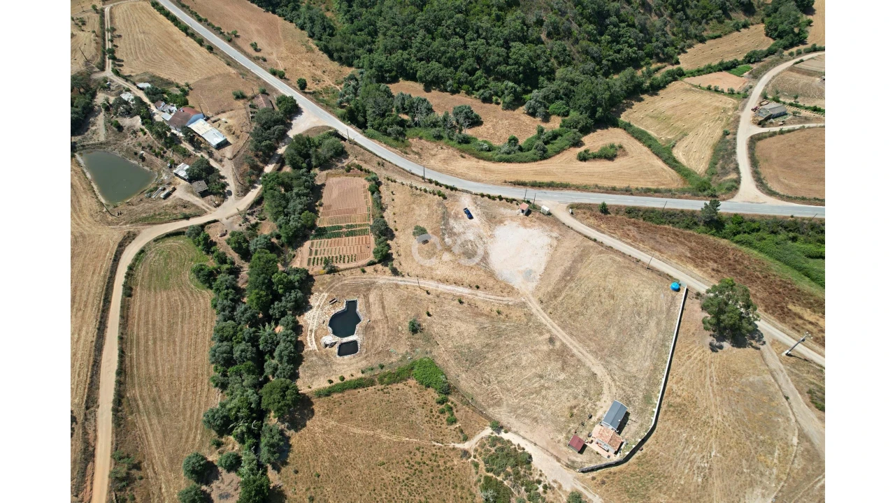 Terreno para Venda em Saboia Foto 12