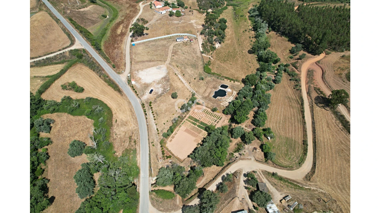 Terreno para Venda em Saboia Foto 5