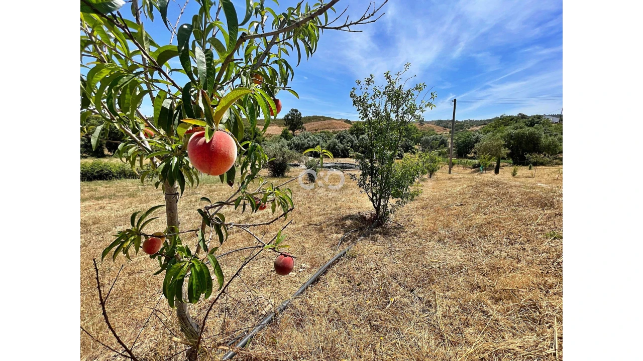 Terreno para Venda em Saboia Foto 6
