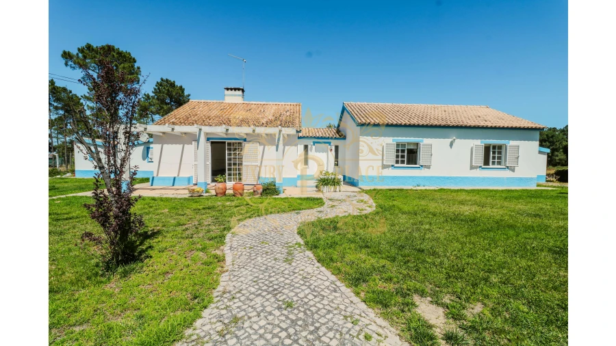 Moradia T4 para Venda em Azeitão (São Lourenço e São Simão) Foto 3