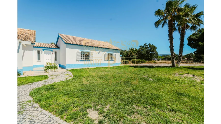 Moradia T4 para Venda em Azeitão (São Lourenço e São Simão) Foto 8