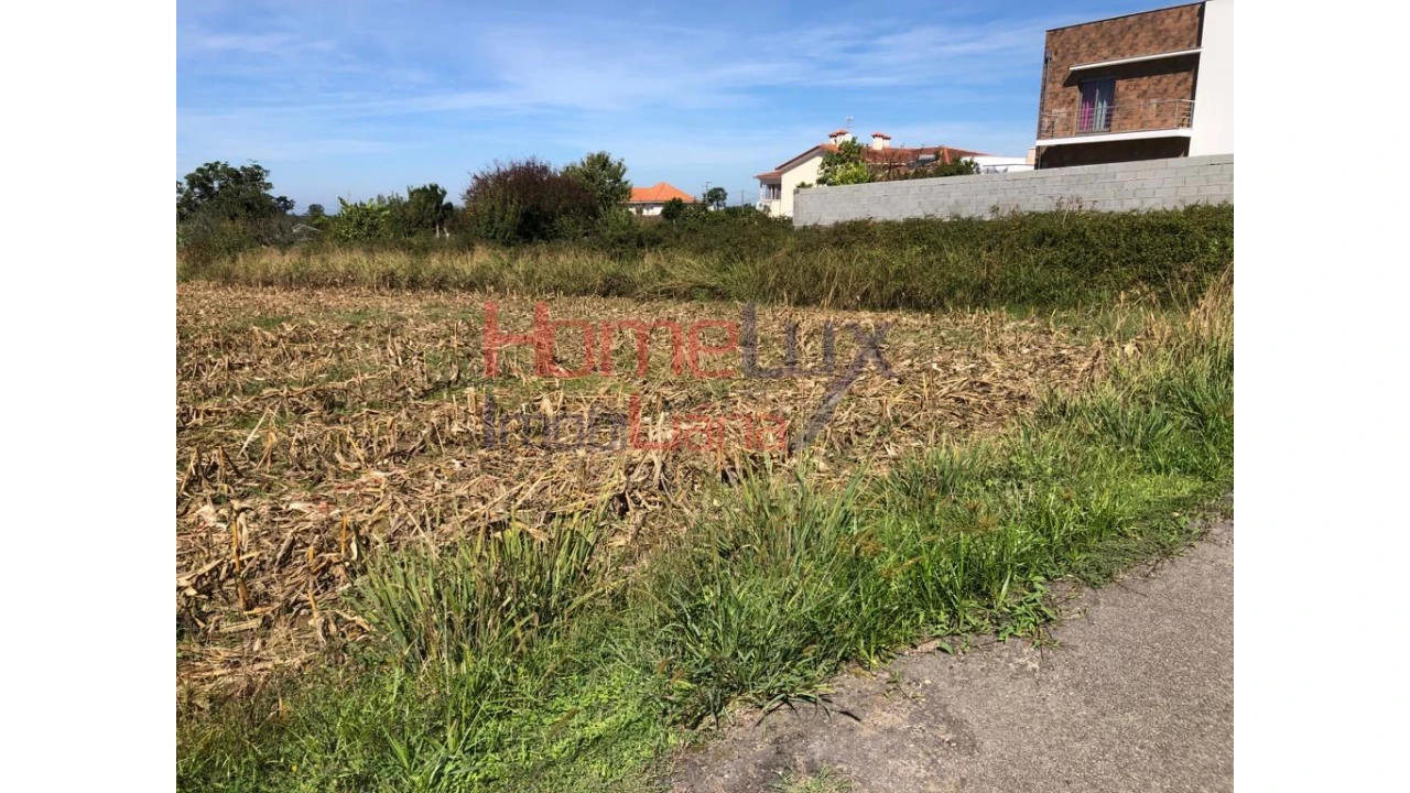 Terreno para Venda em Branca Foto 3